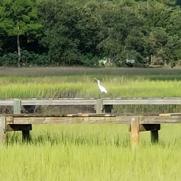 Meet your Posher, Lorilyn - Picture 3 of 16